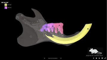 Sketchfab Tutorial 1: Uploading and Editing Models Within Sketchfab