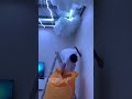 سقف سحاب Shorts 