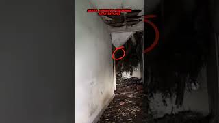 Suara geraman terseram di tempat angker #misteri  #hantu #penampakan #siluman #ghost #kuntilanak