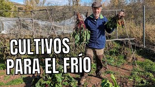 ¿Qué plantas soportan heladas ❄ en la huerta?