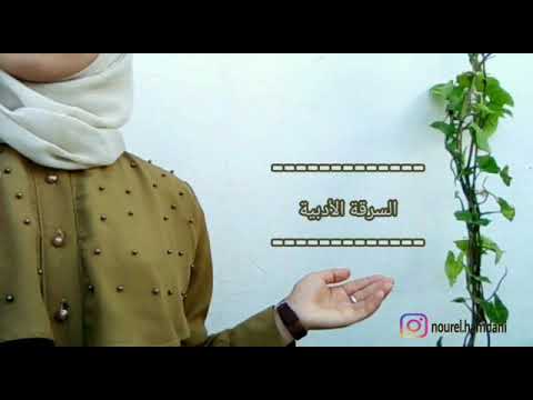 السرقة الأدبية