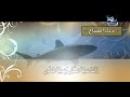 دعاء الصباح سيد ناصر شرف Dua Sabah Sayed Nasser Sharaf 