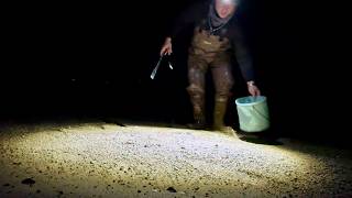 لقد اصطدت واحدة من أكثر أسماك البخاخ سمية وأكلتها كساشيمي. screenshot 3