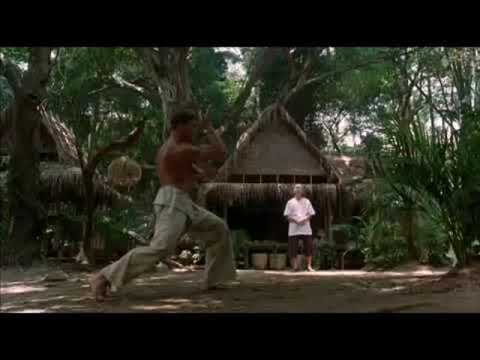 Kickboxer Advanced Training Extended