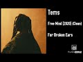 Tems - Free Mind [2020] (Clean)