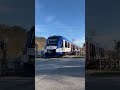 BRB Lint41 vorbei fahrt am Bahnübergang kurz nach Eichstätt Stadt #trainspotting #bahn #viral