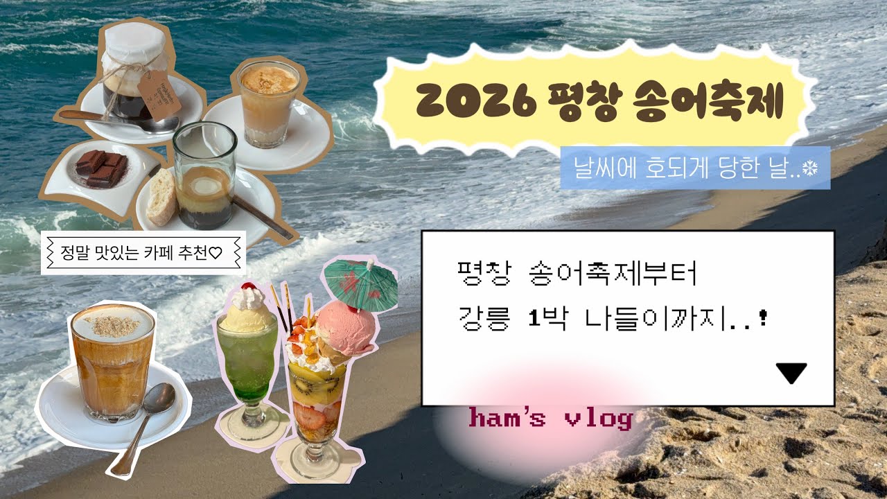 [햄쓰로그] 최악의 날씨에 간 평창 송어축제! 알파인코스터까지 취소...😭 / 강릉 나들이로 극뽁 완료 ✨