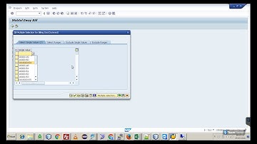 E Way Bill    Video  SAP