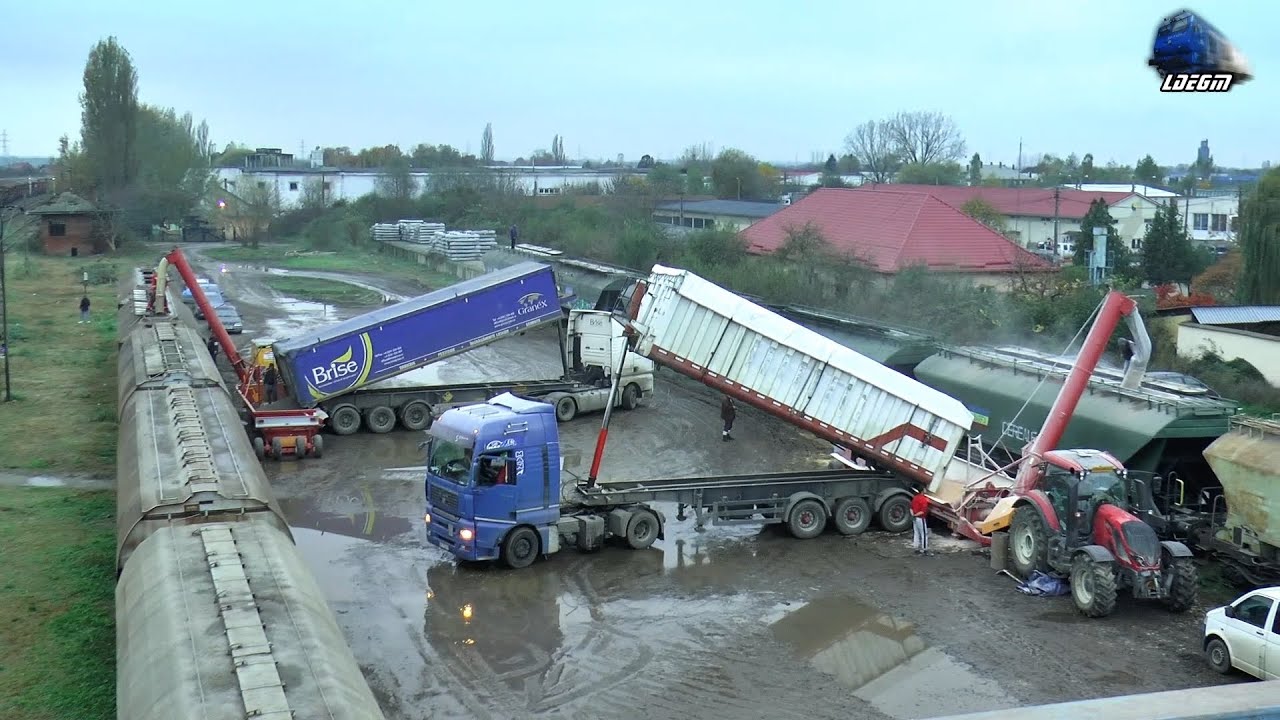 Încarcare Vagoane de Cereale/Loading Cereals Wagons in Gara Satu Mare Sud Station - 03 November 2020