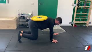 BEAR CRAWL W/PLATE