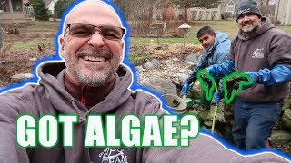 How to Control Algae Growth in Ponds