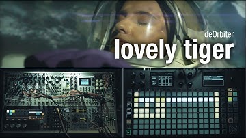 Eurorack Modular Ambient Music "lovely tiger" HAPAX DistingEX ER301 percussaSSP bitbox #54