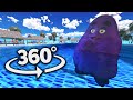 GRIMACE But It S A Swimming Race 360 VR