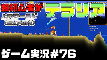 テラリアswitch上級