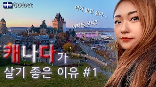 ??캐나다가 살기 좋은 이유 [캐나다 ep.3]