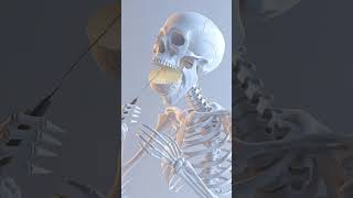 AI Skeleton Animation Tutorial For Science Videos #3danimation #aivideomaker #learnwithai #asmr
