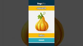 Download Lagu 🇬🇧🇮🇩 squash - labu : learn English : ayo belajar bahasa Inggris : vocabulary builder MP3 Download Lagu 🇬🇧🇮🇩 squash - labu : learn English : ayo belajar bahasa Inggris : vocabulary builder MP3