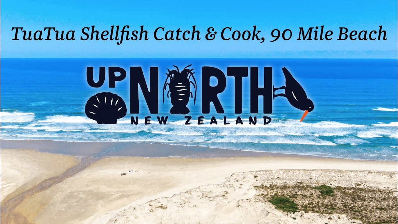 How to Catch and Cook Tuatua Shellfish - FREE Food on Ninety Mile Beach, New Zealand