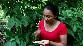 Survival Food in forest find, Cut and cook bamboo shoot on the rock for eating@AdventureInForest