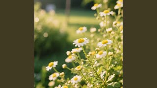 Download Lagu Lagu Untuk Langit Langit MP3