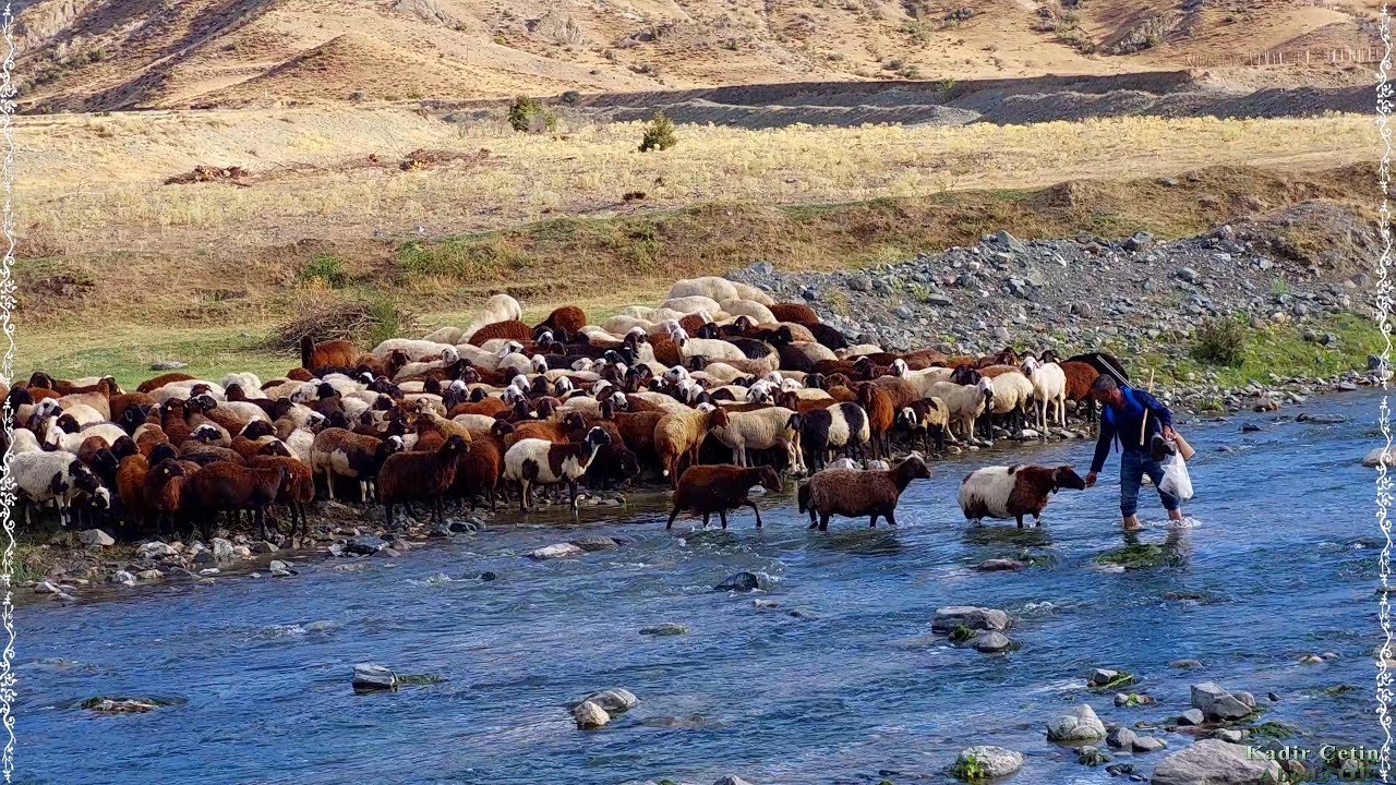 Oltu Çayı Köprü Sıkıntıları