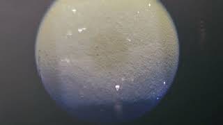 Testing Amazon Scope Cam adapter 