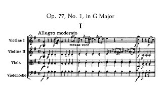 Haydn - String Quartet No.66 in G, Op. 77, No. 1, 1st Movement Wealth