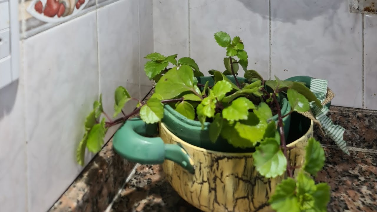 Mirá como recupero una olla y sartén♻️