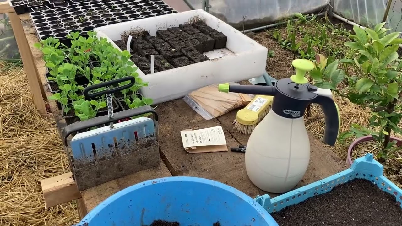 Semis d’aubergines et de poireaux