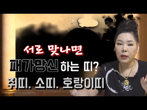 #<strong>궁합</strong> #<strong>돼지띠</strong>#토끼띠#양띠 👉나의 대박띠 누구? ☠나를 망하게 하는 띠는?#점집#무당#무속인
