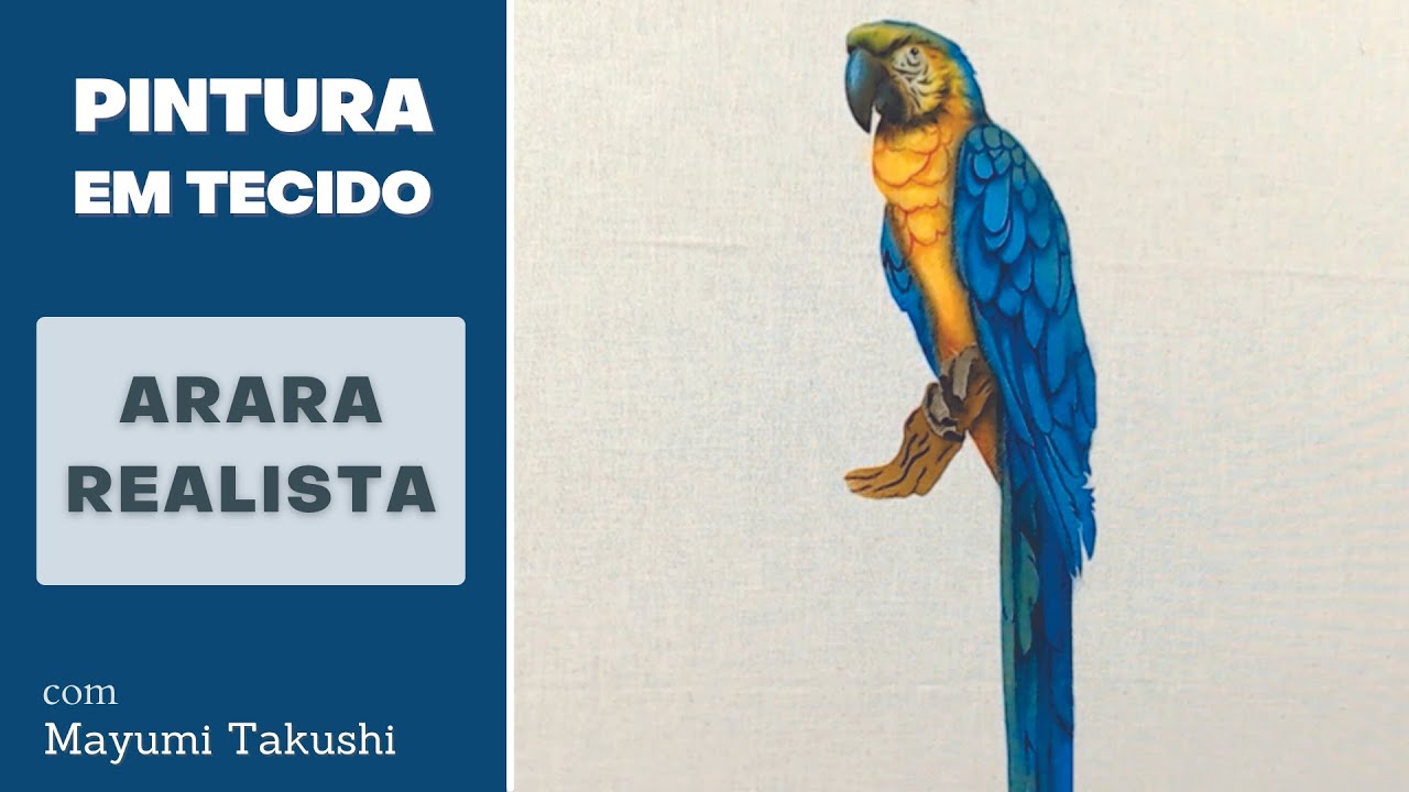 Pintura em Tecido com Stencil: Arara Realista