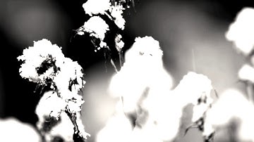 Dead Cold Ground - At the Remains of Myself (instrumental doom metal)