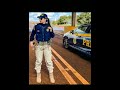 Polícia Rodoviária Federal Prf