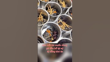 Nỗi sợ gà ác tiềm thuốc bắc bị đắng? #shorts #cooking #food #amthuc #monanngon #gàác #baongu