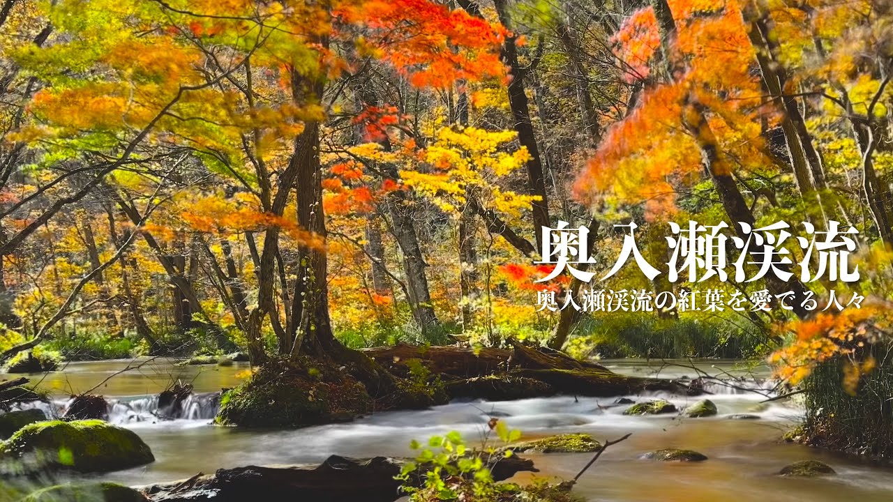 紅葉】奥入瀬渓流の紅葉を愛でる人々【奥入瀬渓流】 - YouTube
