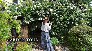 Step Inside My Rose Garden in 2025 (Everything Is Blooming)