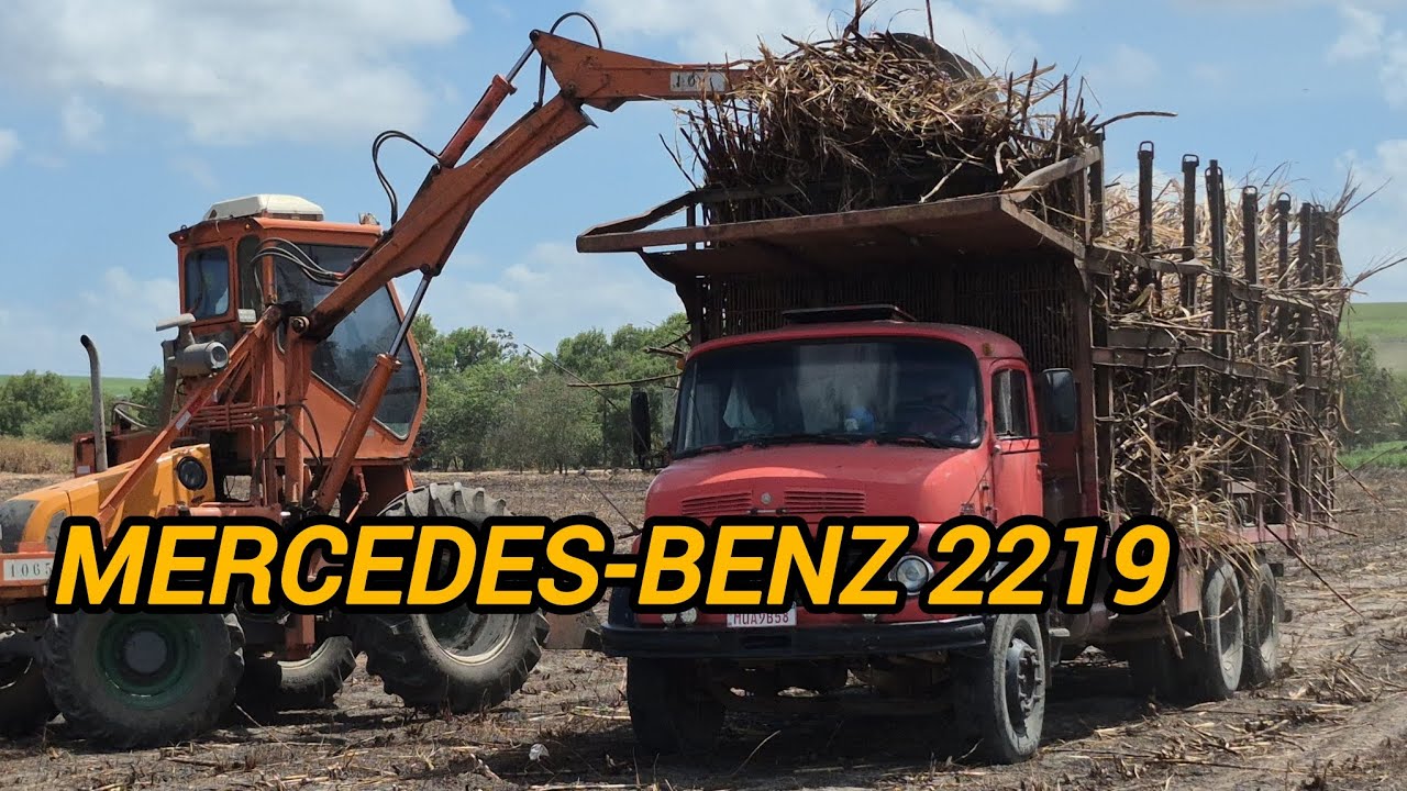 Carregamento de cana inteira, antiga fazenda Fagundes 