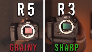 Canon R5 vs R3 Review: Worth it in 2024?