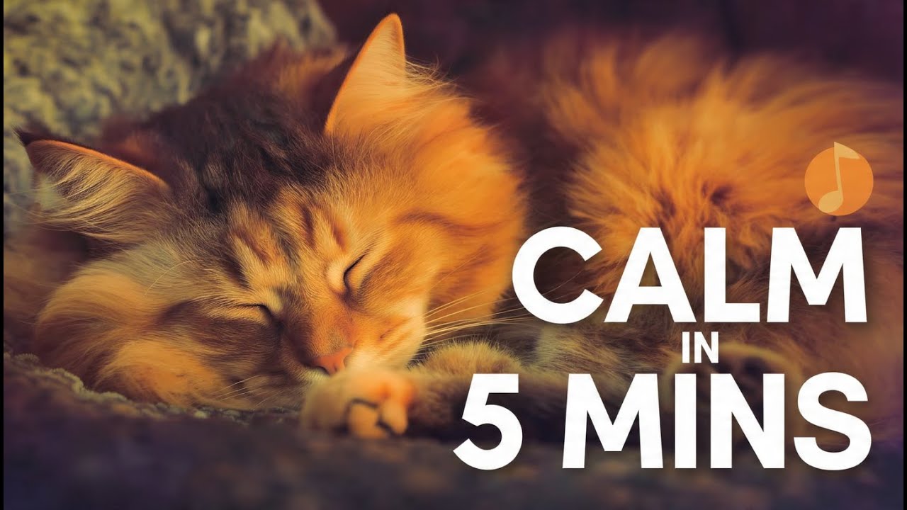 Relaxing Music for Cats to Sleep 💤 Instantly Calm Your Cat (Stop Meowing)