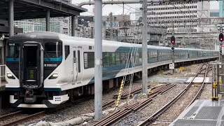 E257系2000番台ｵｵNA-05編成が回送電車として警笛を鳴らしながら東京駅9番線に到着停車するシーン（2024.4.30.7:17）