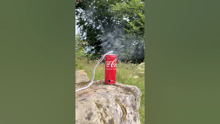 Survival Skills: Mosquito Repellent #camping #survival #bushcraft #outdoors #lifehack