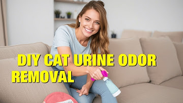 How to Remove Cat Urine Smell from Sofa Easy Step by Step