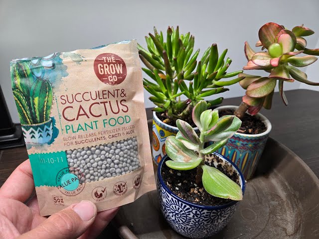 Quick Review of The Grow Co Succulent & Cactus Plant Food - YouTube