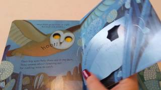 "Peep inside night time" from Usborne
