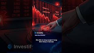 VN-Index +10,7% mà danh mục F0 vẫn lỗ: chỉ số không bằng thị trường