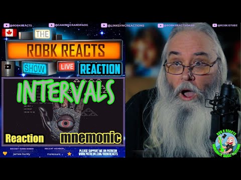 Intervals Reaction - mnemonic (visualizer) - First Time Hearing - Requested