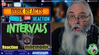 Intervals Reaction - mnemonic (visualizer) - First Time Hearing - Requested
