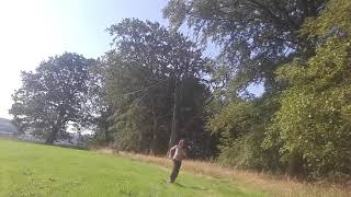 Felling of lightning struck, dead beech tree, 200 years old.