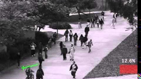 Crowd Behaviour Ped1 (rev 2)