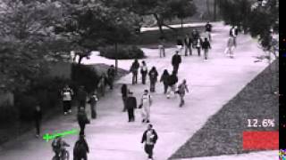 Crowd Behaviour Ped1 (rev 2)